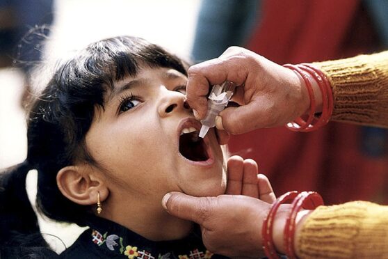 a child is given polio vaccine during the pulse polio immunization program