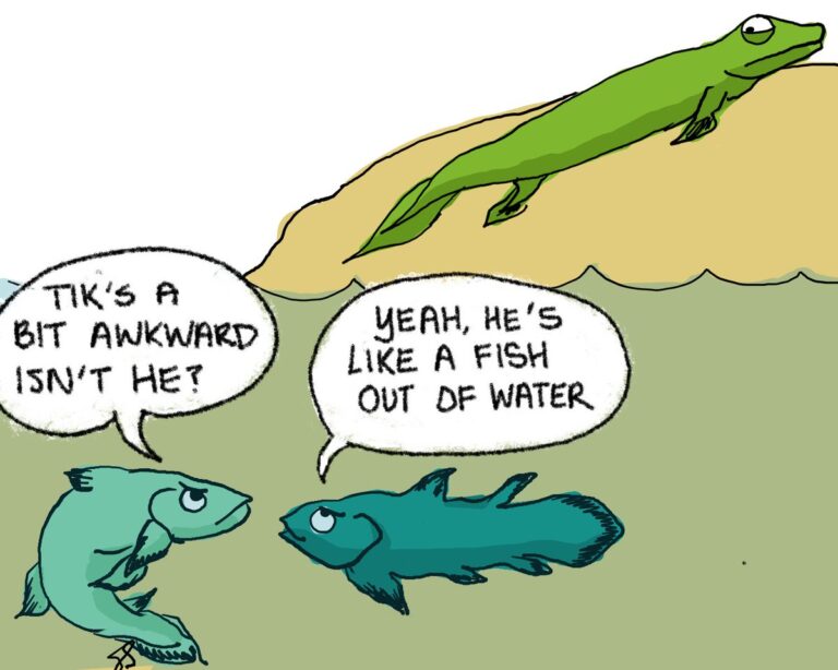 Tiktaalik roseae: Meme and Facts about the Fish Fossil