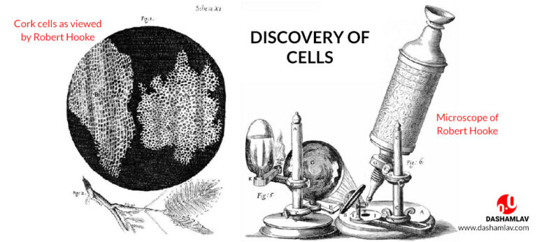 The Discovery of the Cell and the Invention of the Microscope