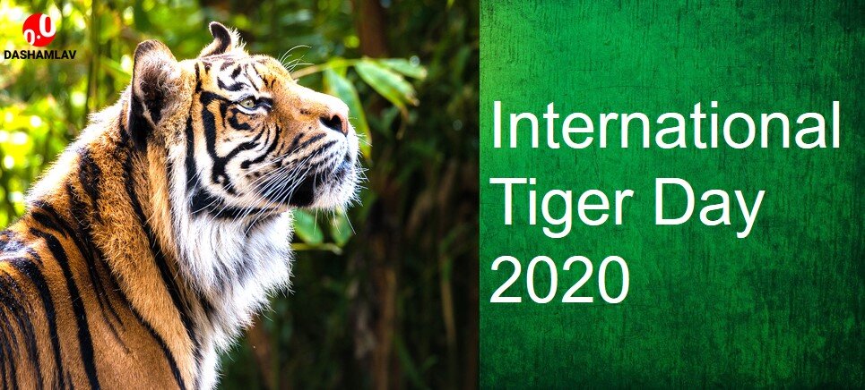 29 July is observed as International Tiger Day