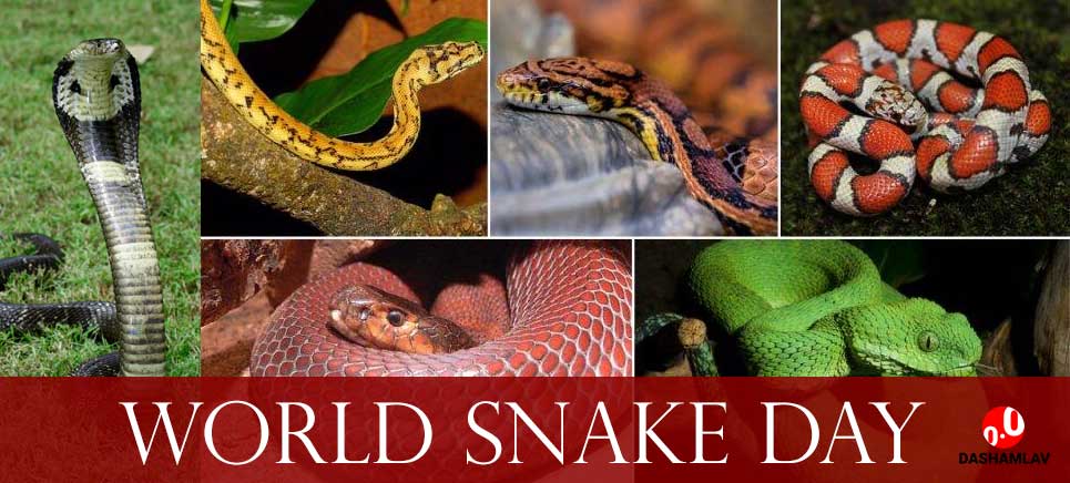 world snake day