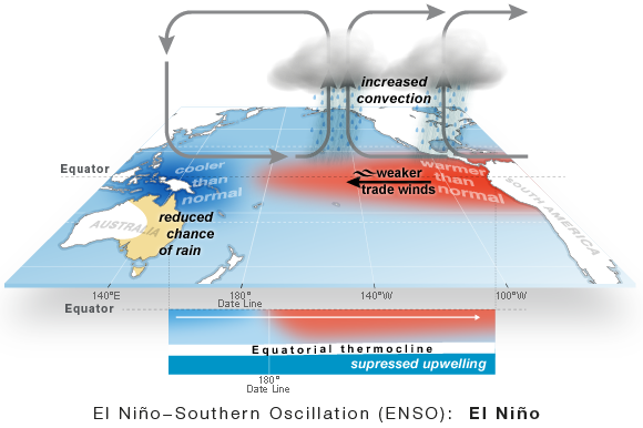 ENSO El Nino Phase