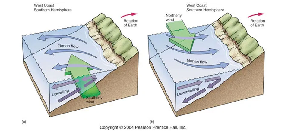 The Role of Wind 