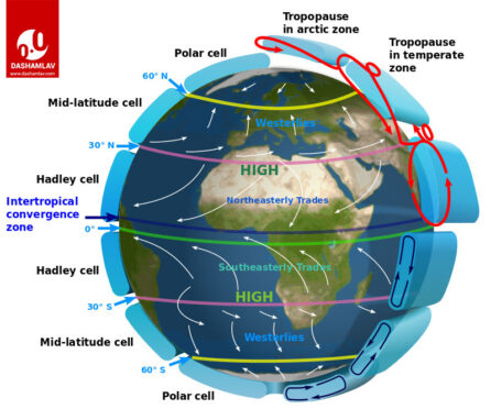 image showing trade winds, hadley cell and coriolis effect