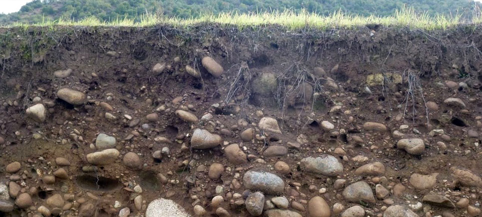 image showing alluvial soil near river bank