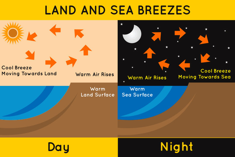 land breeze vs sea breeze diagram